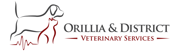 Orillia & District Veterinary Services